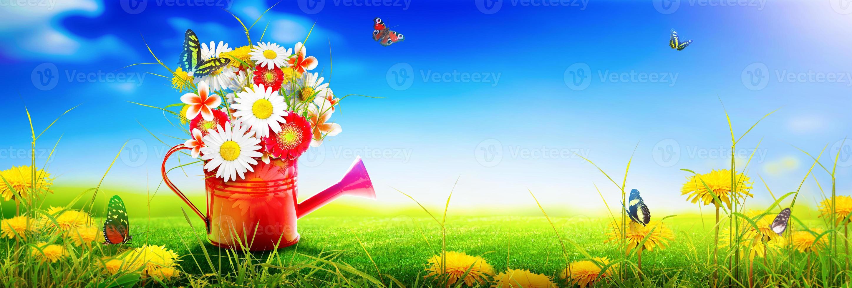Colorful wild flower bouquet in a watering can with butterflies. photo