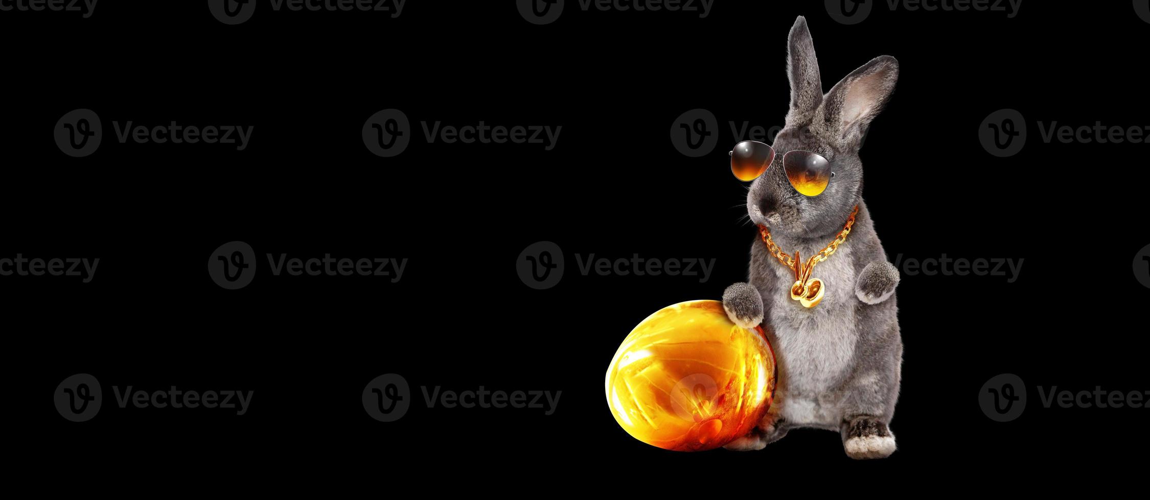 Funny Easter bunny. Happy Easter holiday concept. photo