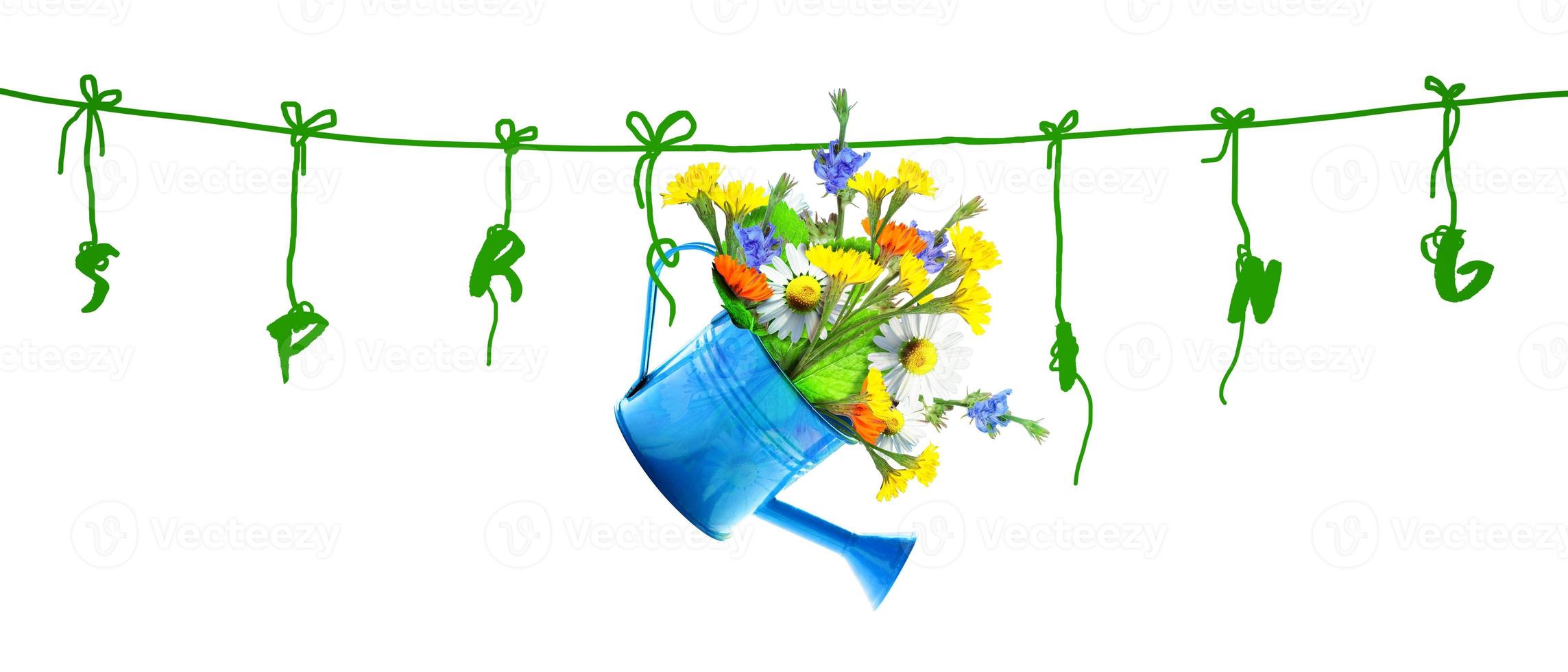 Colorful wild flower bouquet in a watering can. Concept of spring and gardening. photo