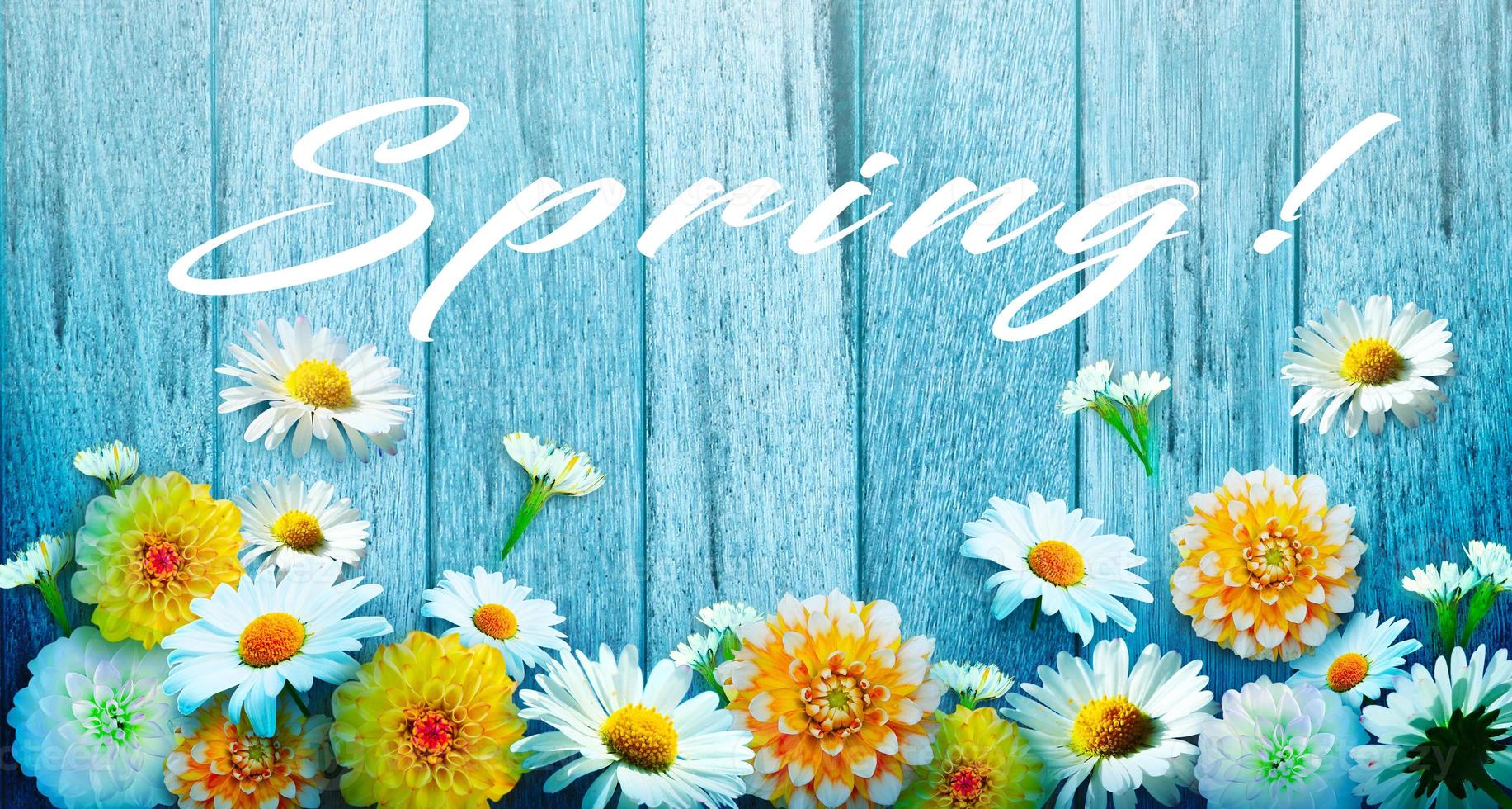 Flowers and herbs with word spring. Creative floral composition. photo