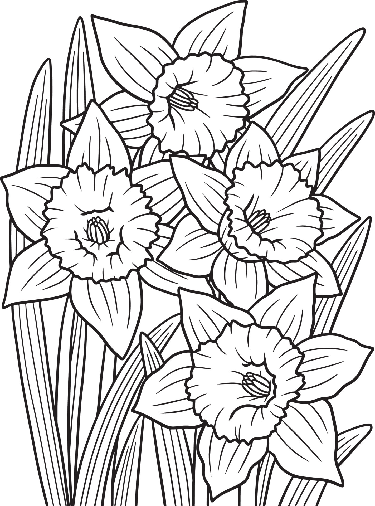 Daffodil Flower Coloring Page for Adults 7066585 Vector Art at Vecteezy