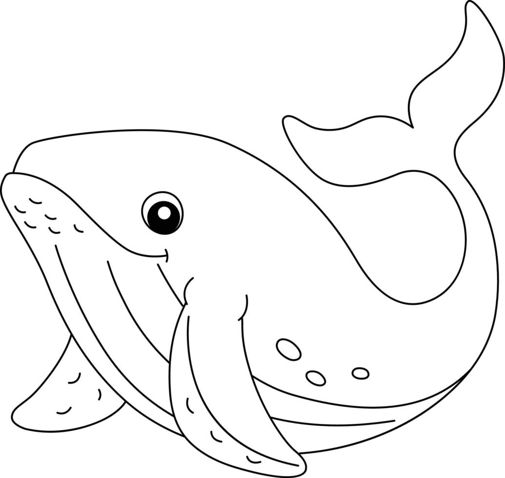 ballena jorobada para colorear página aislada para niños vector