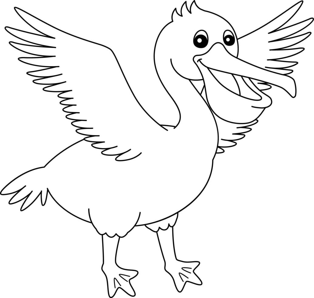 Pelican Coloring Vector Art, Icons, and Graphics for Free Download