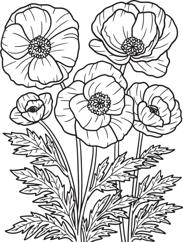Corn Poppy Flower Coloring Page for Adults vector