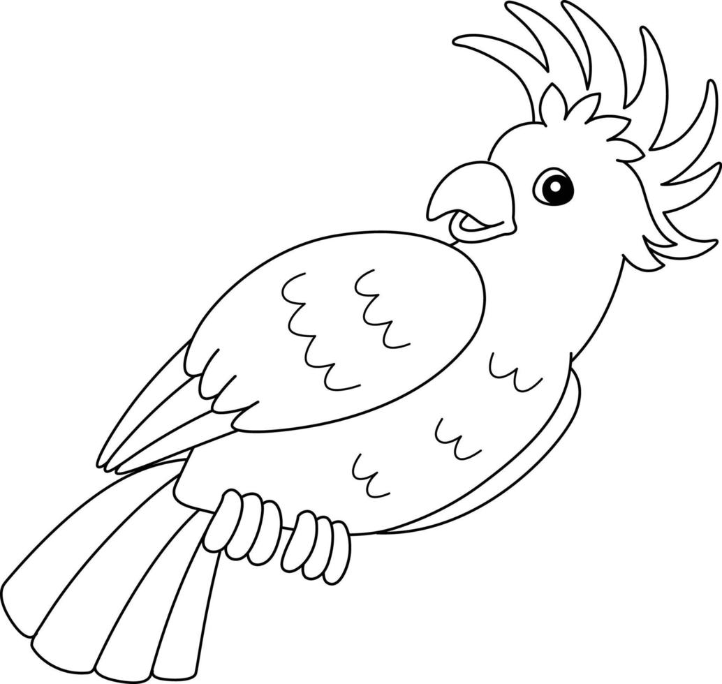Cockatoo Animal Coloring Page Isolated for Kids vector