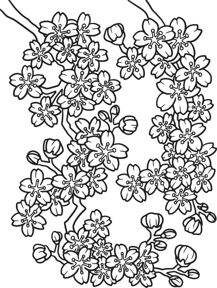 flor de cerezo para colorear para adultos vector