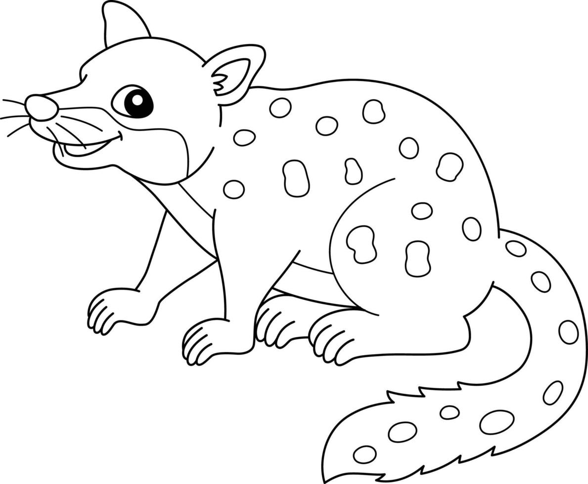 tigre quoll página para colorear aislado para niños vector