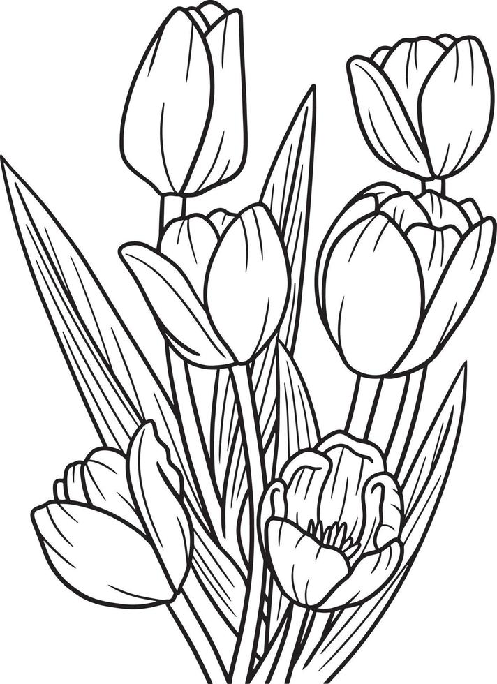 Tulips Flower Coloring Page for Adults vector