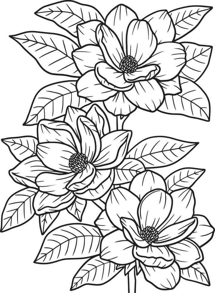Magnolia Flower Coloring Page for Adults vector