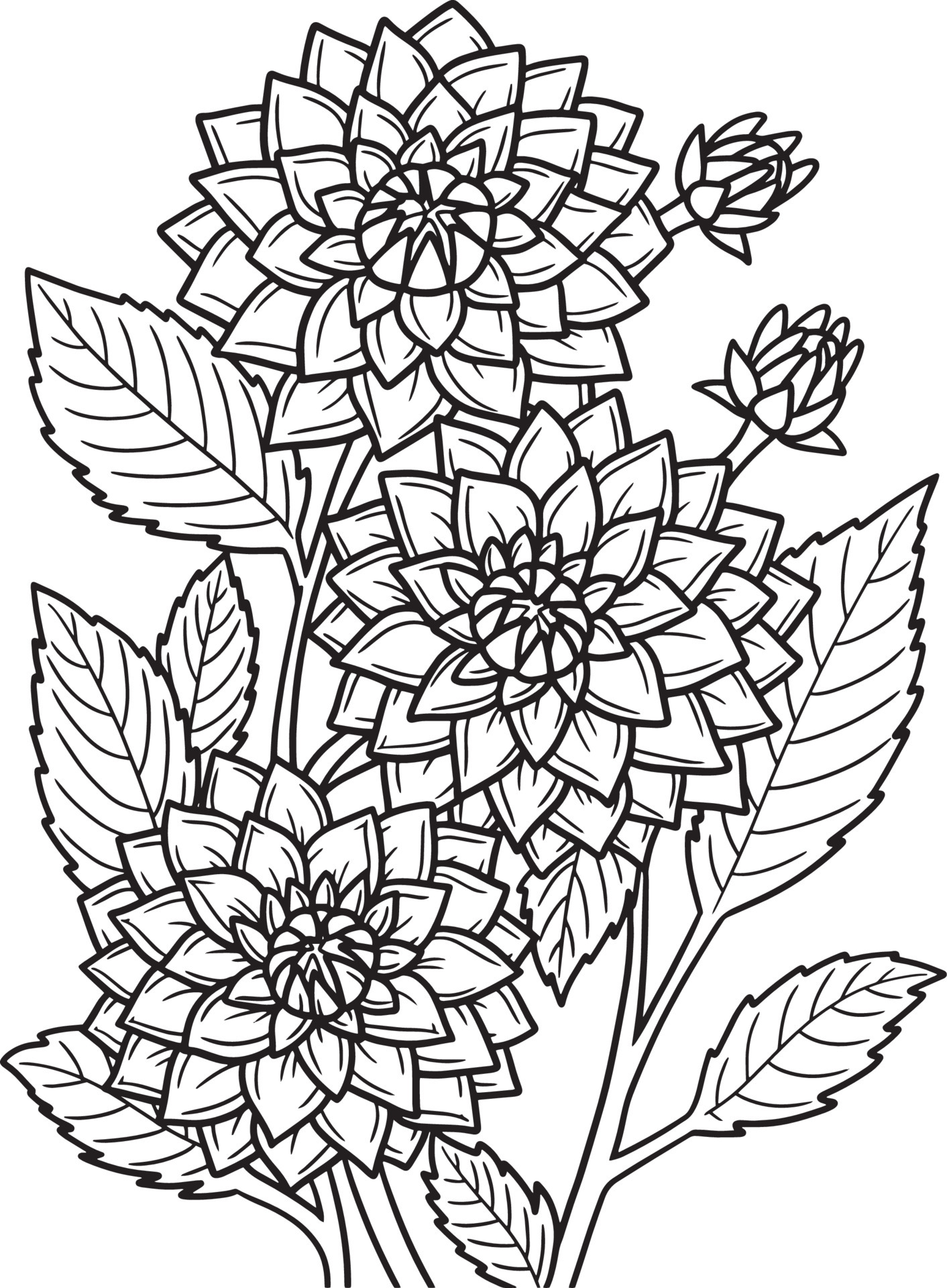 Dahlia Flower Coloring Page for Adults 7066883 Vector Art at Vecteezy