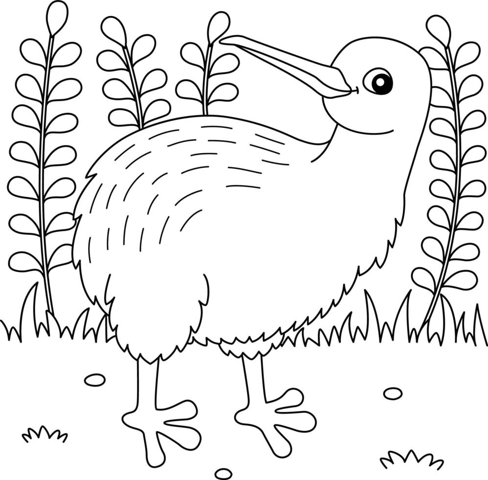 Página para colorear de animales kiwi para niños vector