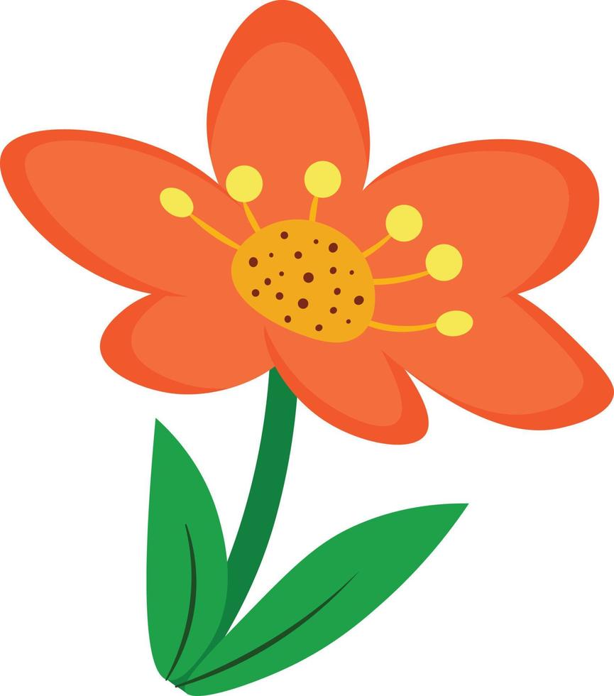 Pretty Flower with bright color vector