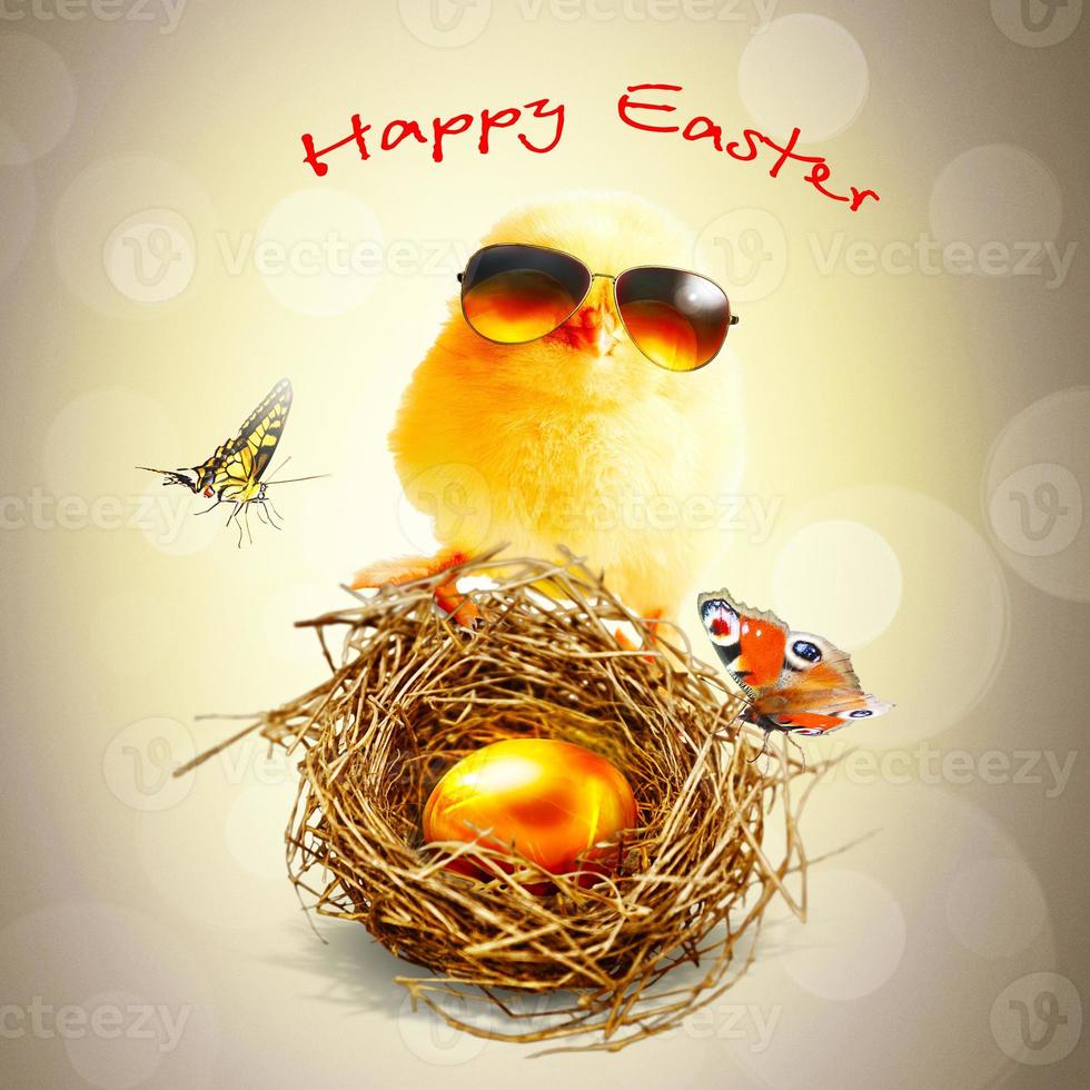 Funny cute baby chick with sunglasses and egg. photo