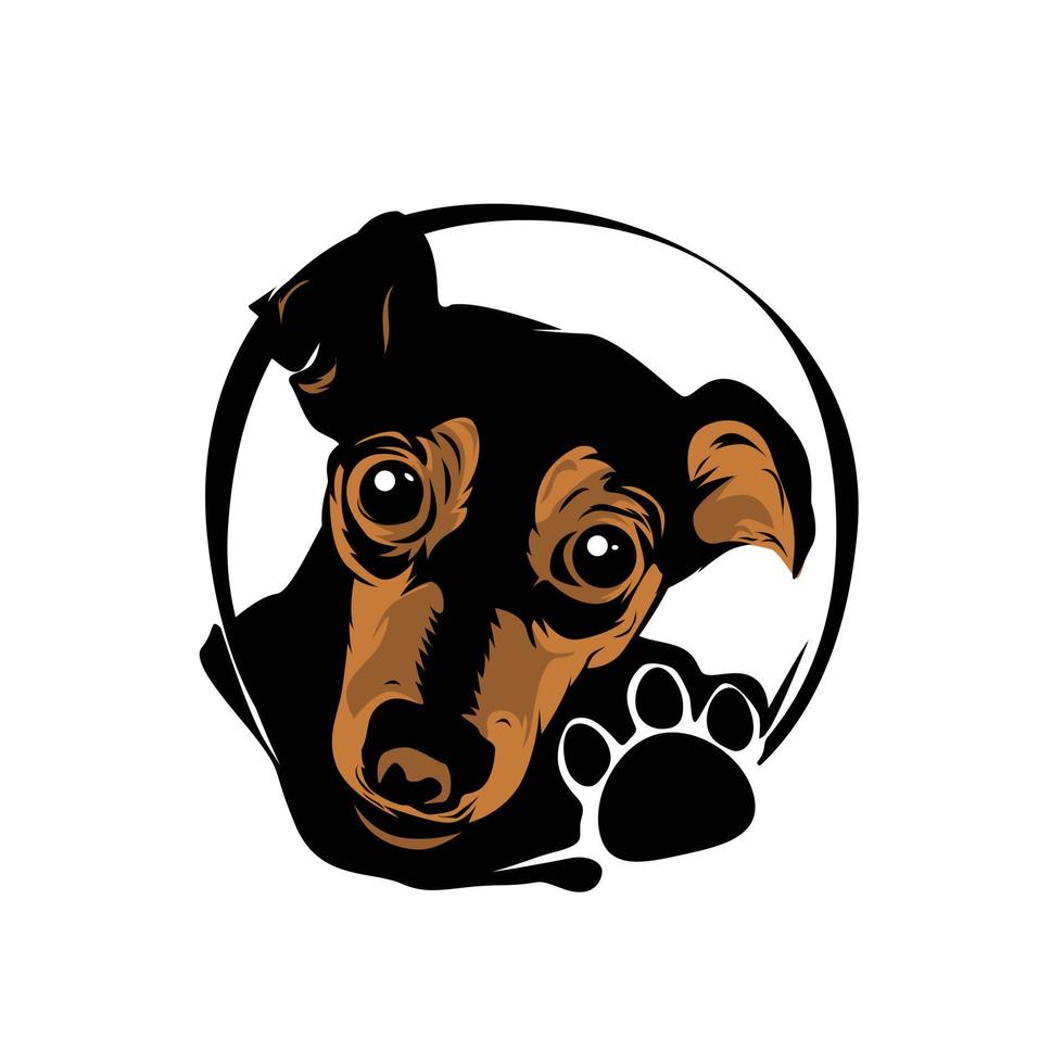 vector de cabeza de perro sobre un fondo blanco, mascotas. animal