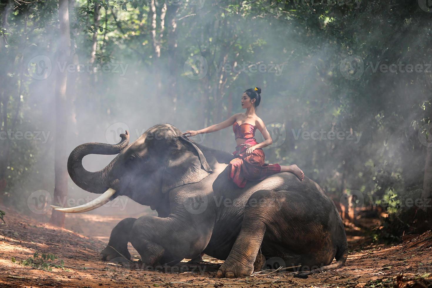 Thailand Countryside, Silhouette elephant on the background of sunset, elephant Thai in Surin Thailand. photo