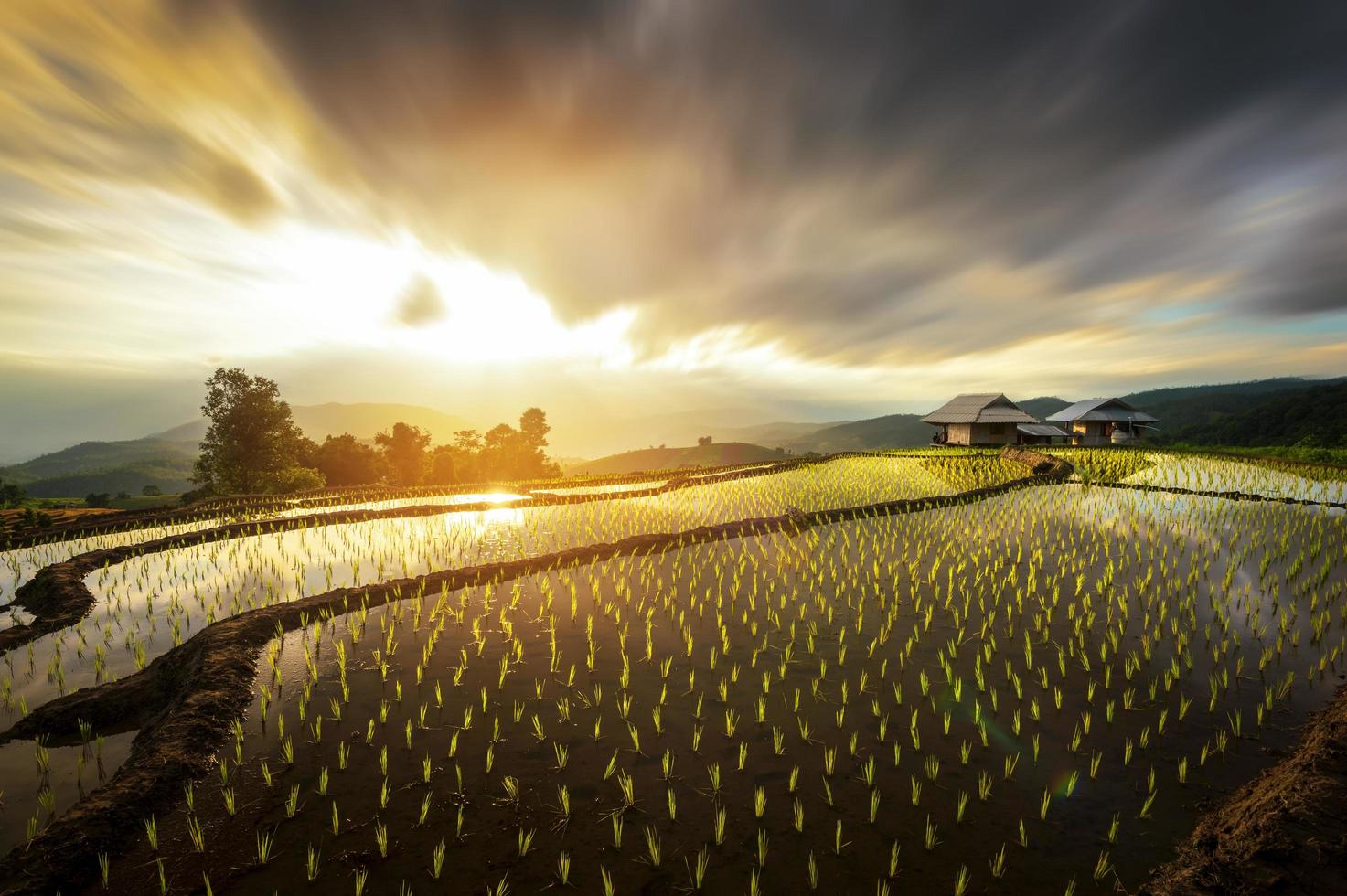 una vista de los campos de arroz, las terrazas, el bosque bong piang, la provincia de chiang mai por la mañana. foto