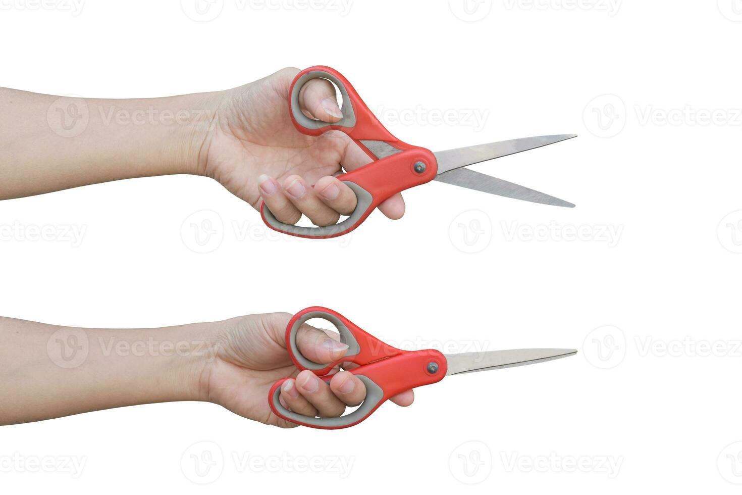 Two hand holding red scissors isolated on white background with clipping path. photo