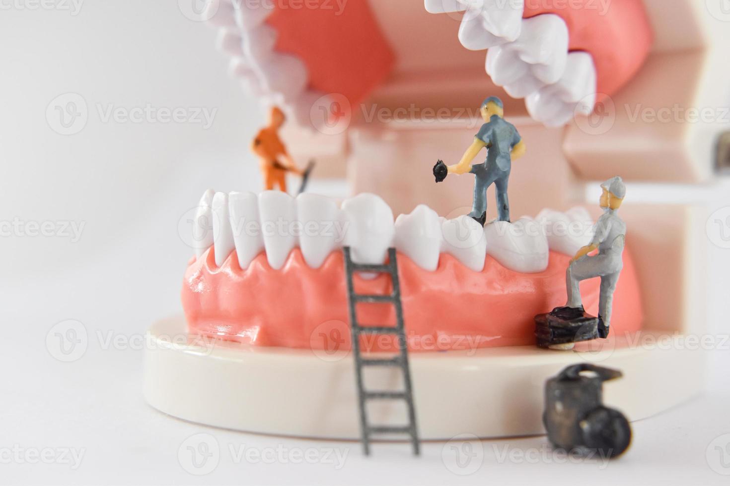 miniature people to repair a tooth or small figure worker cleaning tooth model as medical and healthcare. photo