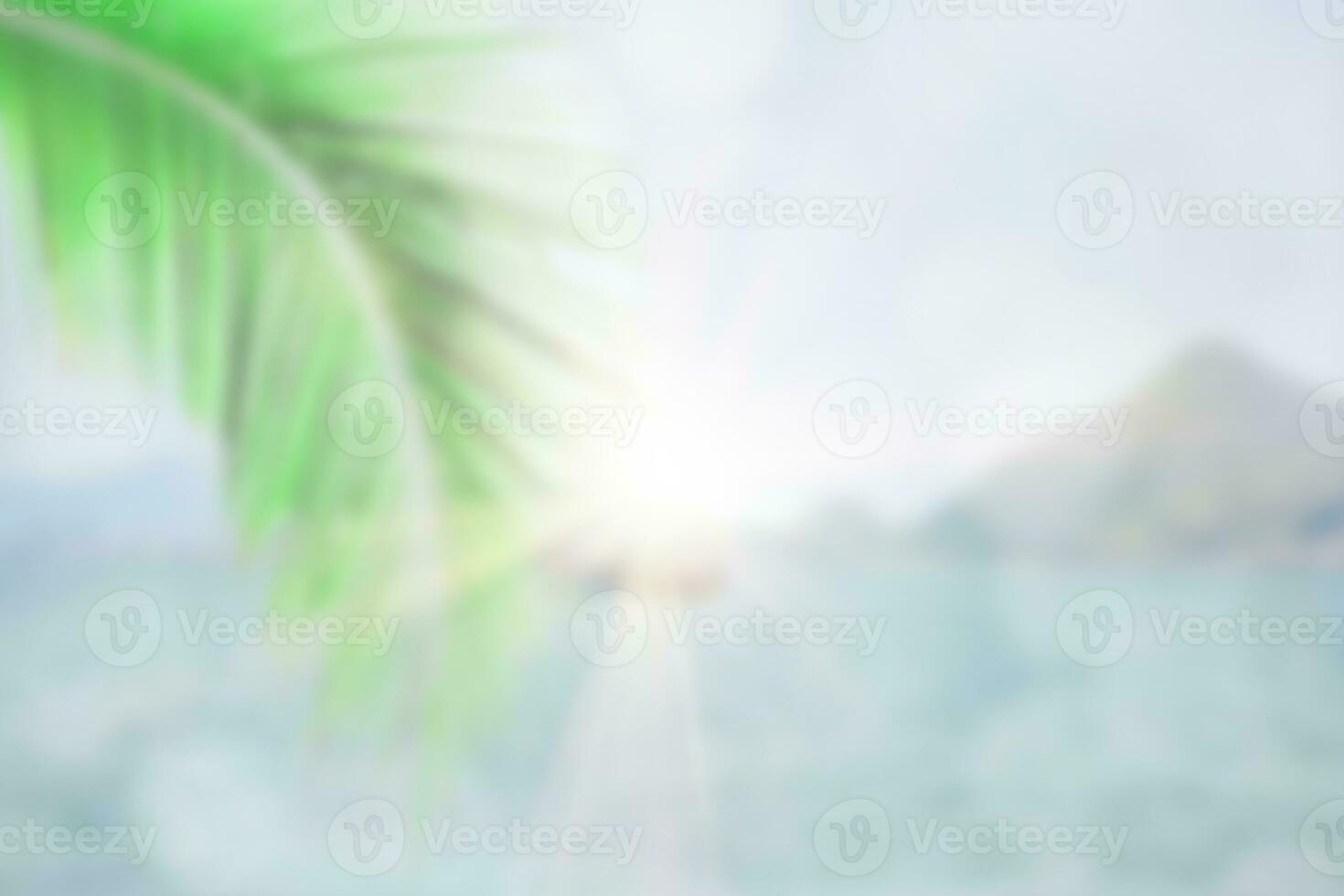 Blurred of nature green palm leaf on tropical beach with bokeh sunlight abstract background. Summer vacation and travel concept. photo