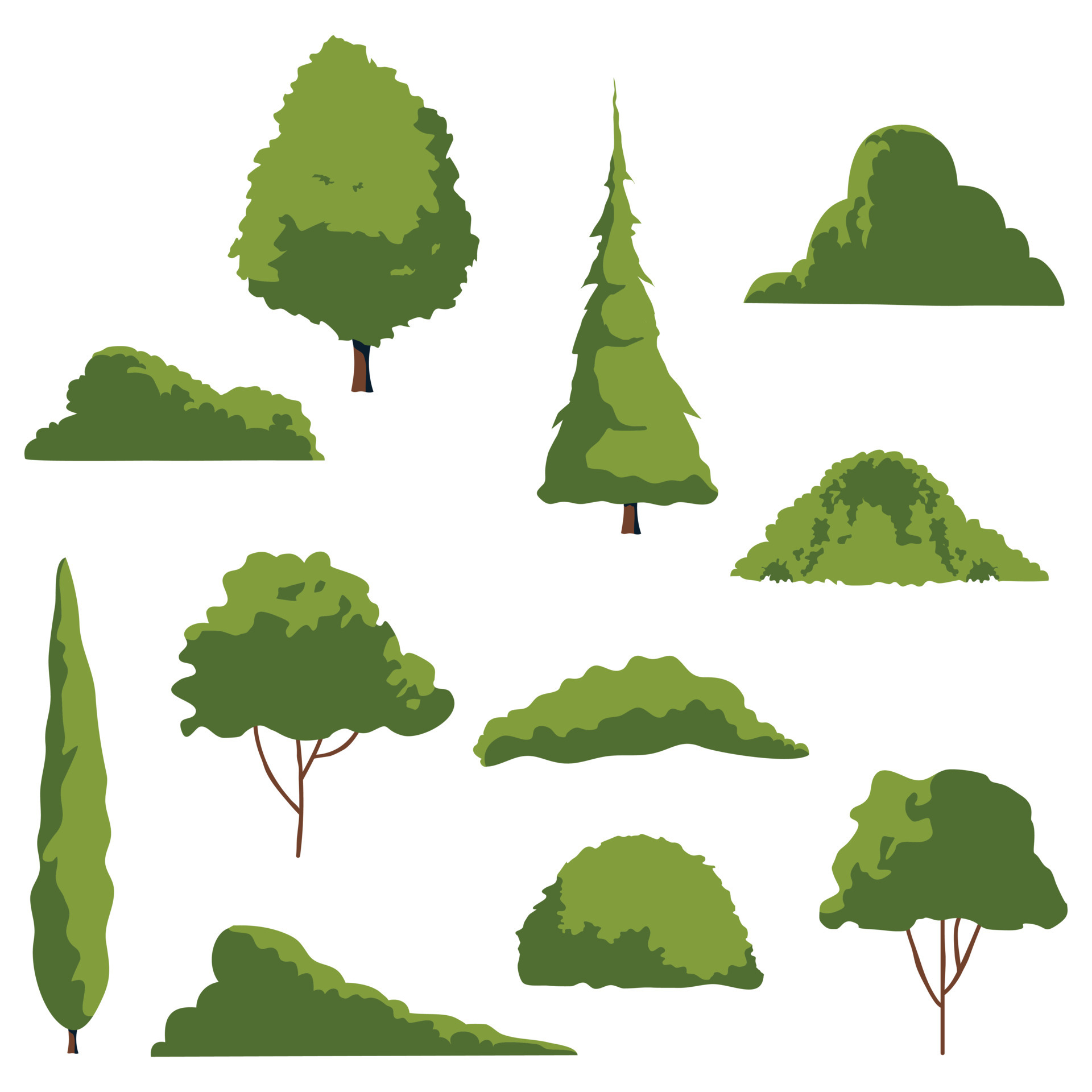 árbol de dibujos animados flora de bosque plano simple, árboles de pradera  de coníferas y de hoja caduca, plantas aisladas de árboles de navidad de  pino de roble. conjunto de vectores ilustración