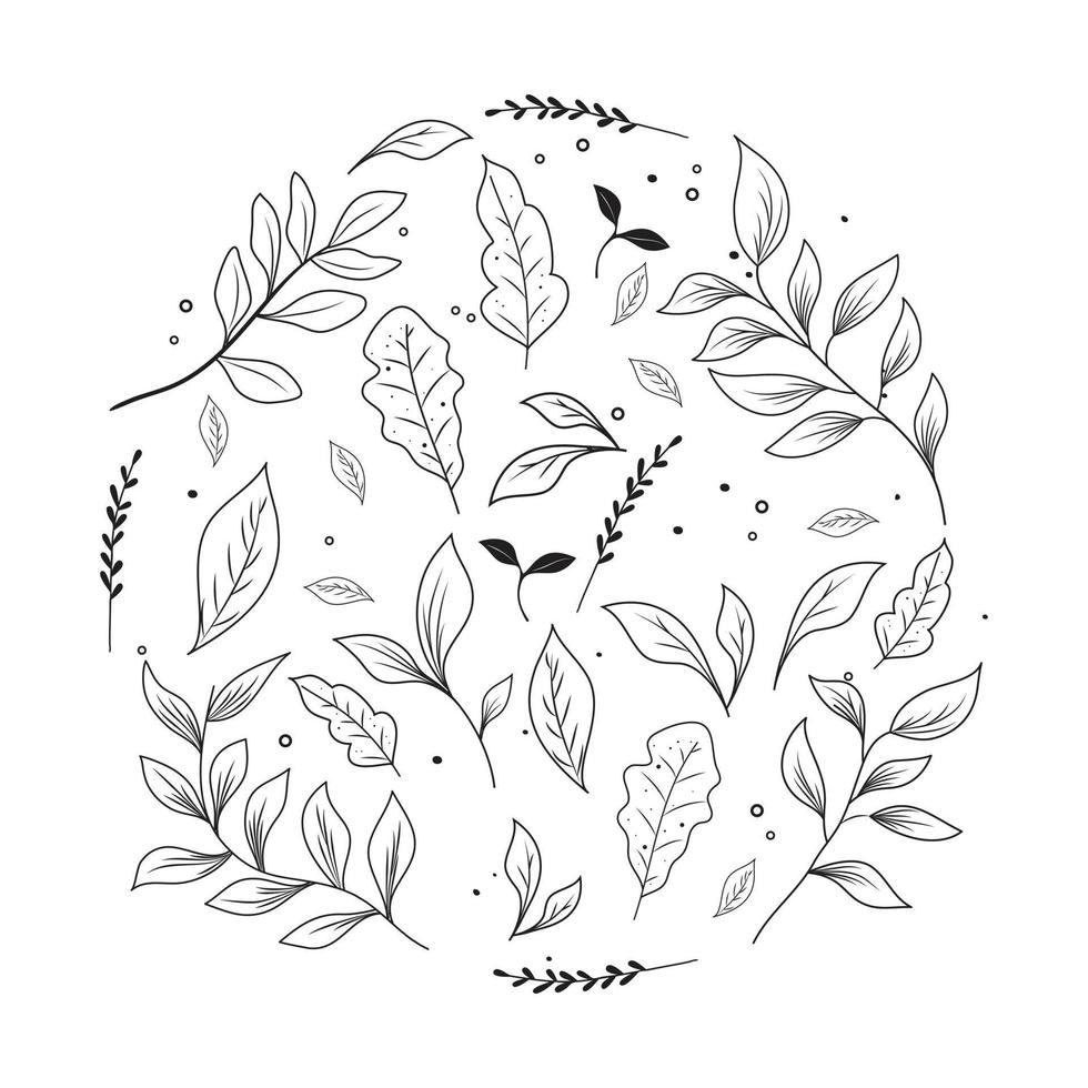 ilustración de vector floral blanco y negro de línea simple
