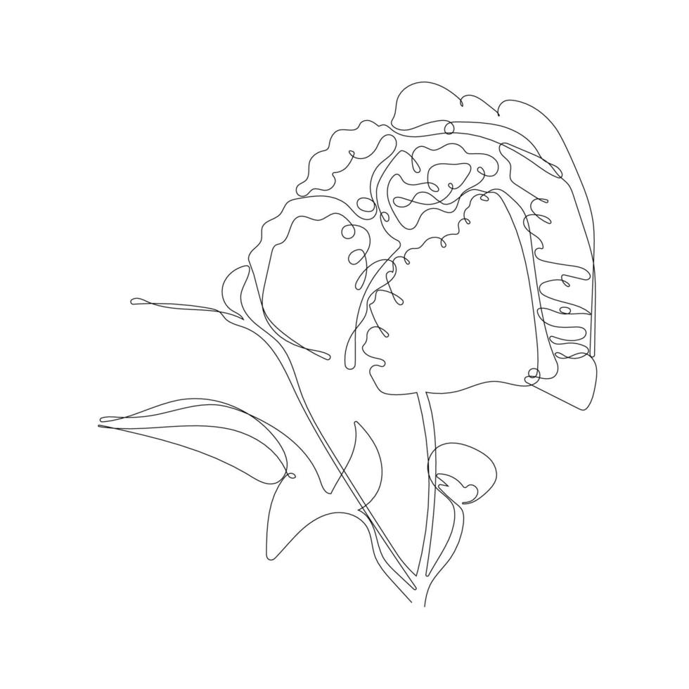 Continuous one line pion flower. Dark contour on white background. Simple flower outline. Vector illustration.