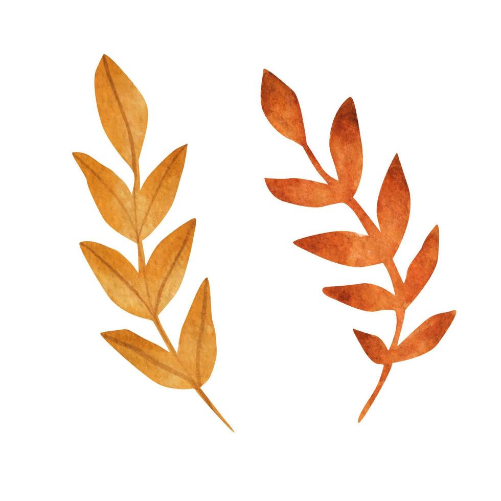 Yellow watercolor leaves. Vector illustration