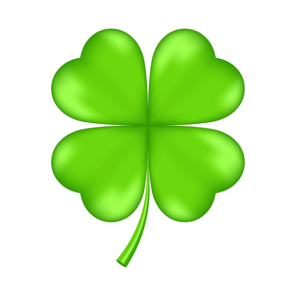 Lucky clover leaf, four isolated on white, for St. Patrick's day. vector