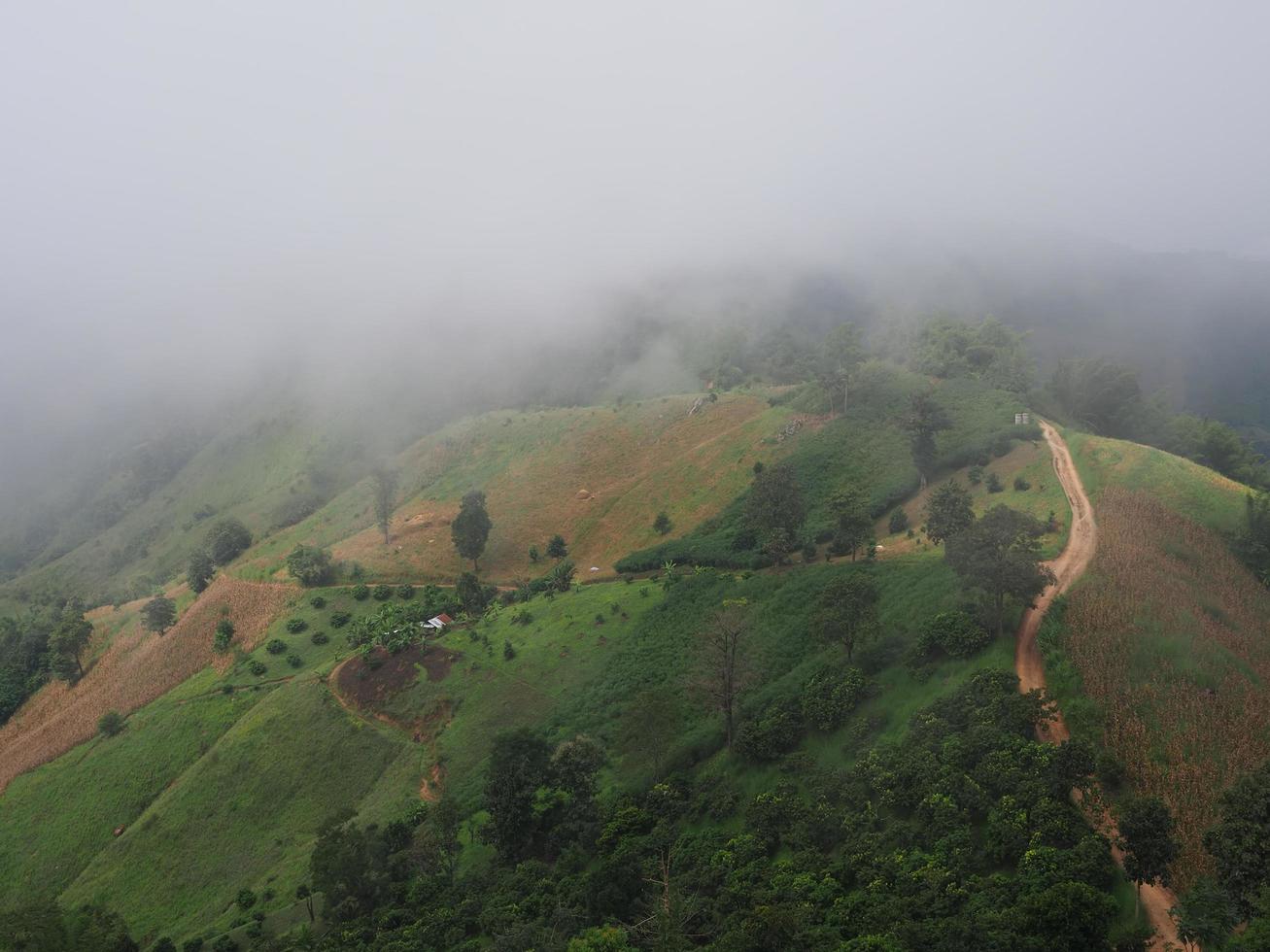 vista a la montaña y niebla foto