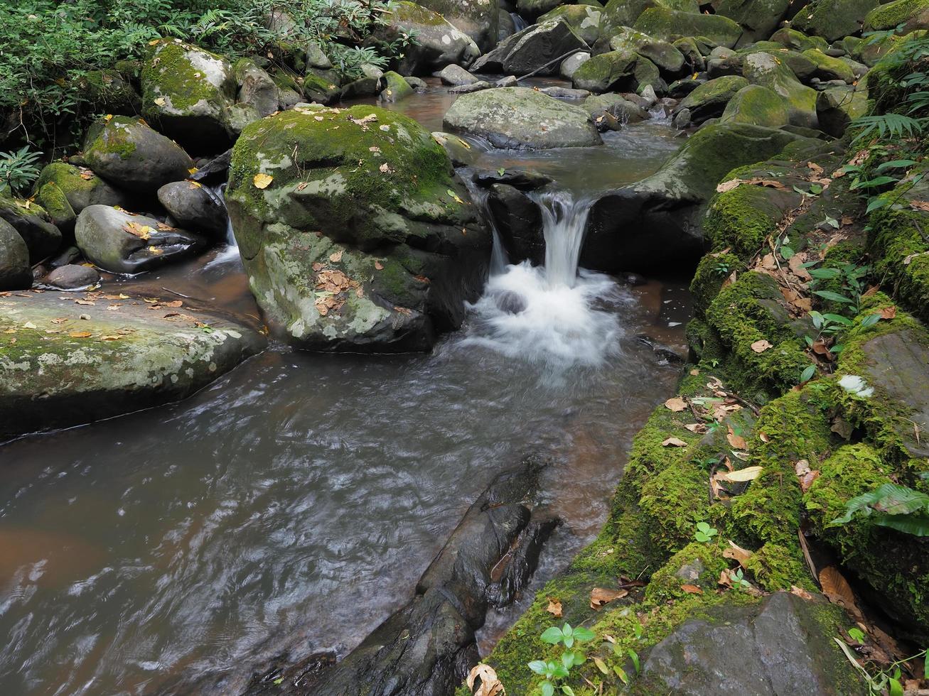 la naturaleza de la cascada foto