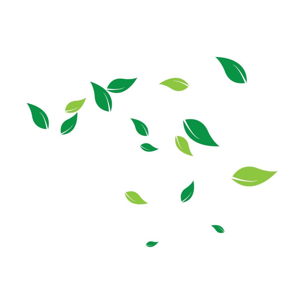 scattered leaves logo vector