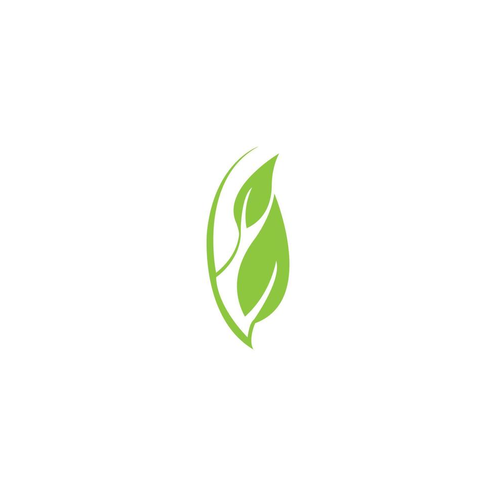 grow leaf logo vector