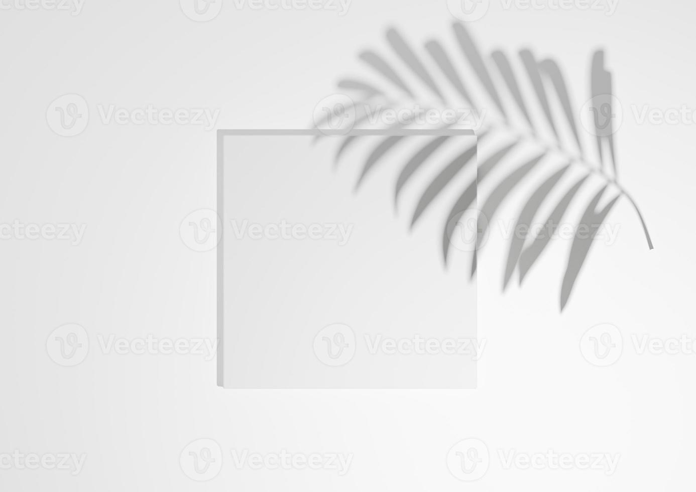 White, light gray, black and white, 3D render minimal, simple top view flat lay product display background with one podium stand and palm leaf shadow for nature products photo