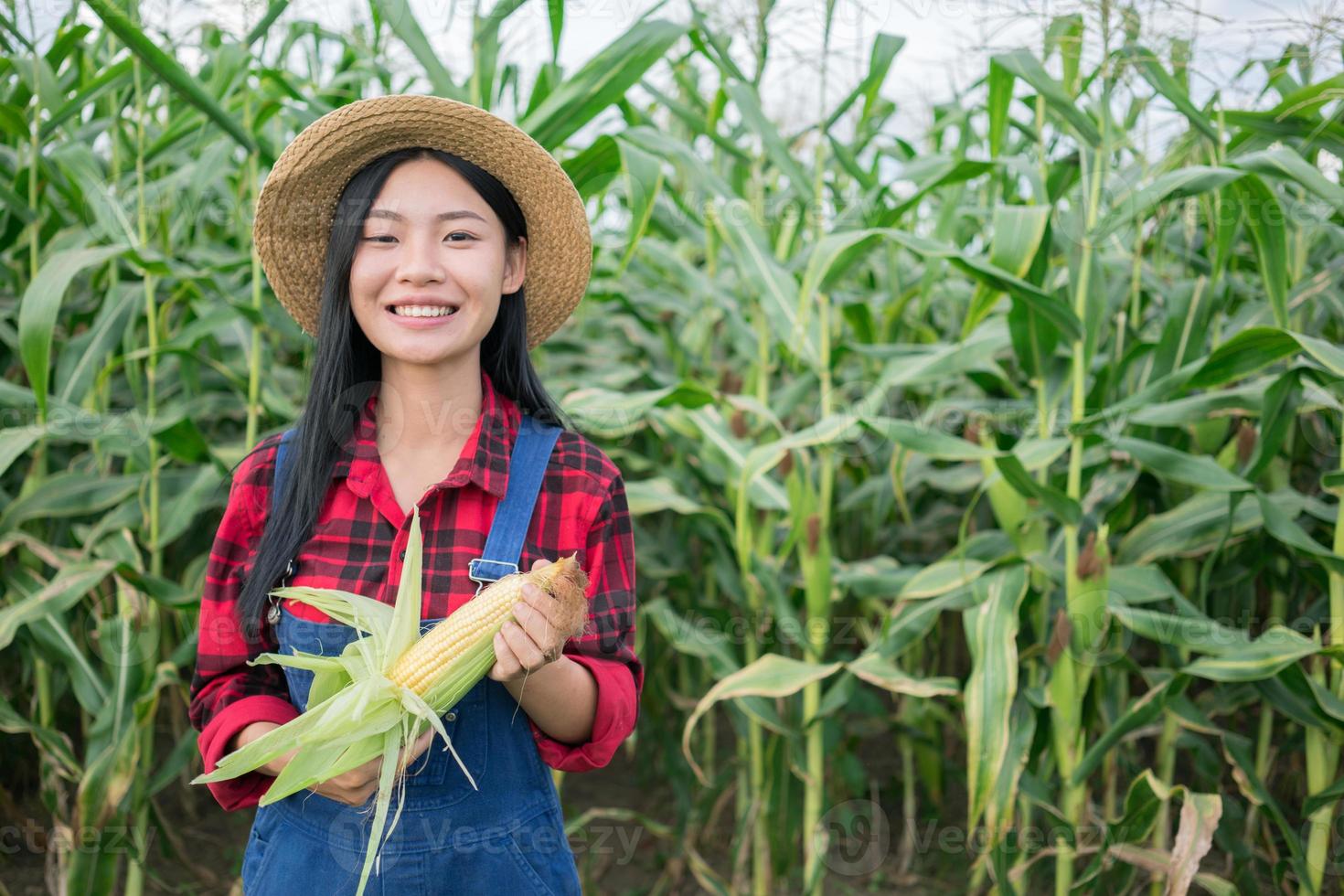 Happy farmer in the corn field photo