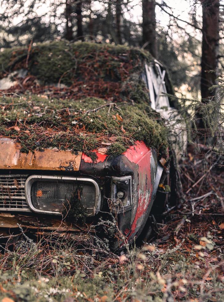 Old abandoned and rusty car in a forest covered by moss photo