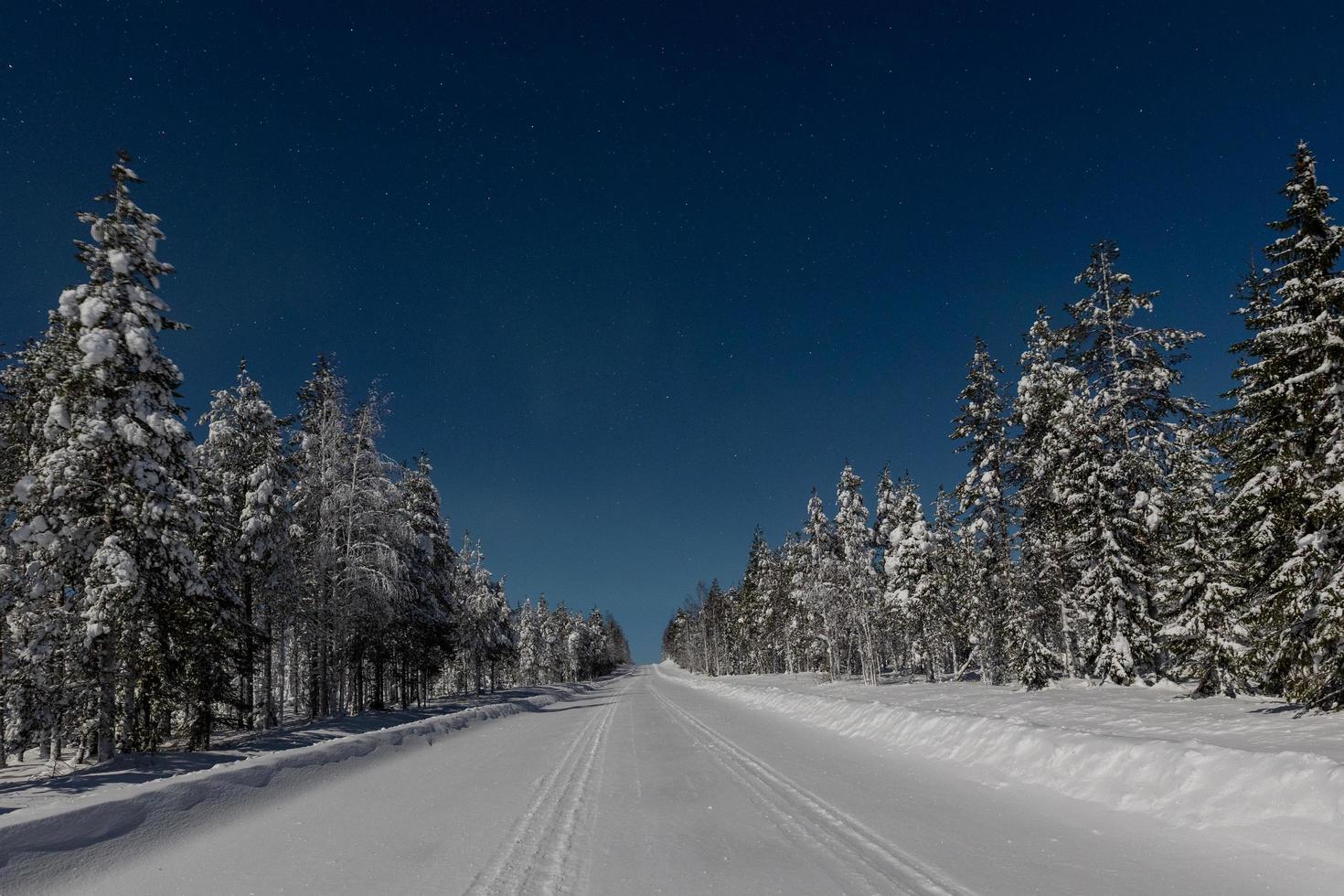 Stars and moon lit landscape in Finland in Winter photo