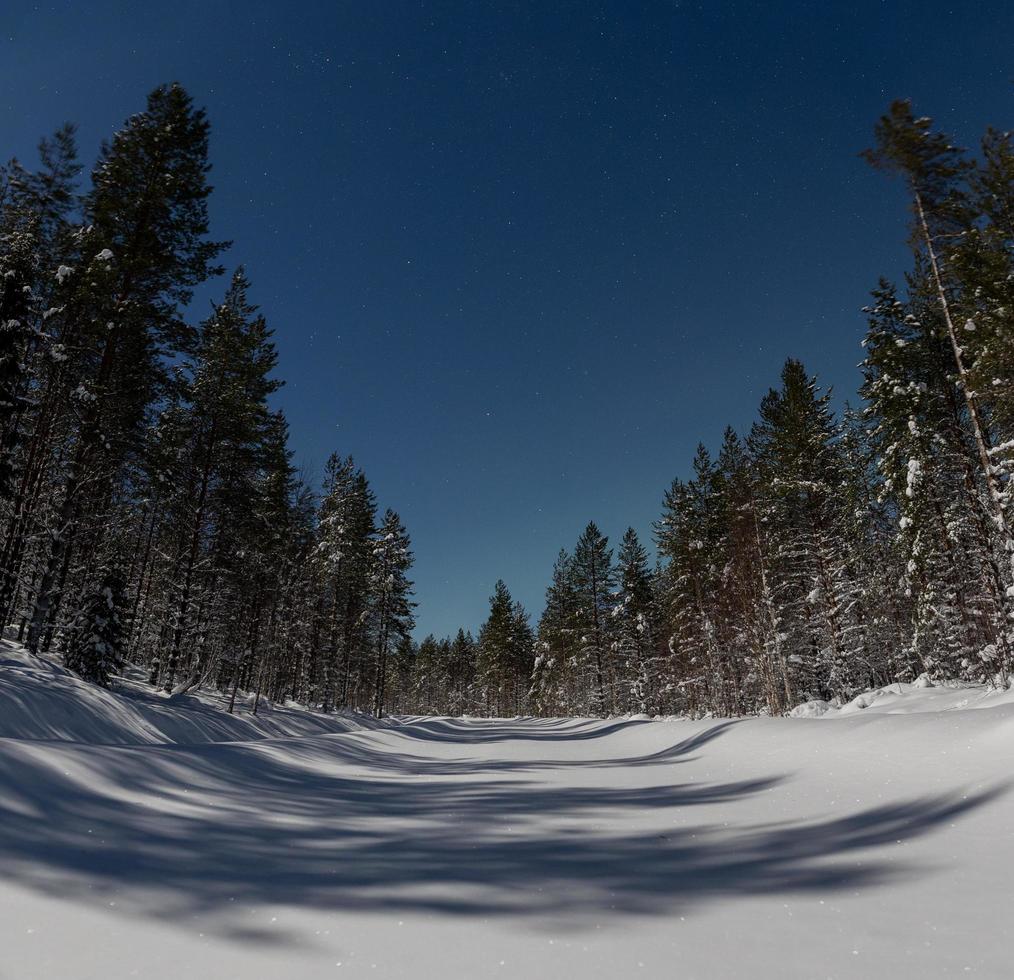 estrellas y paisaje iluminado por la luna en finlandia en invierno foto