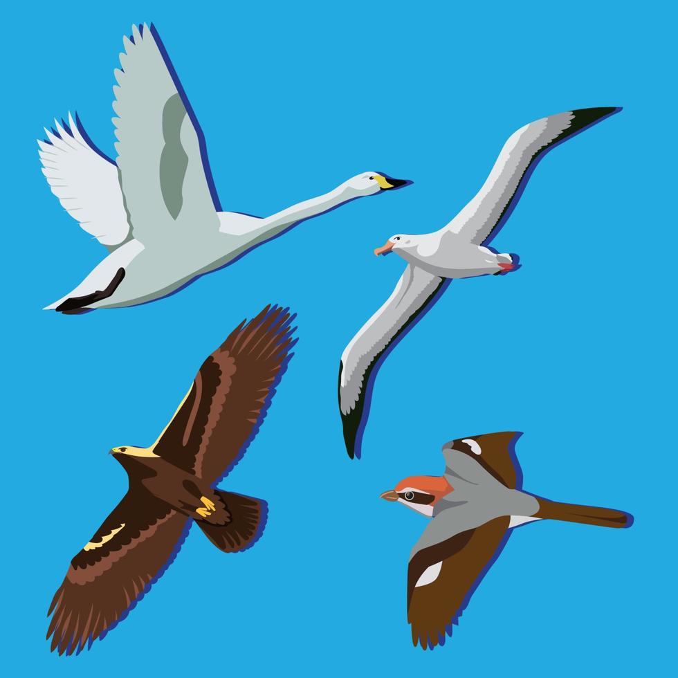 Flying Birds Albatrosses Swan Eagle and Sparrow vector