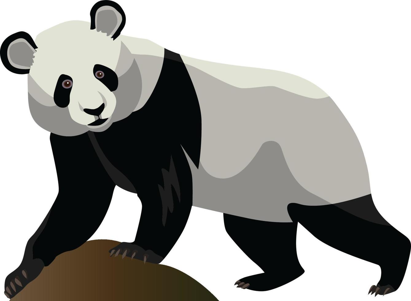 oso panda apoyado en una roca vector