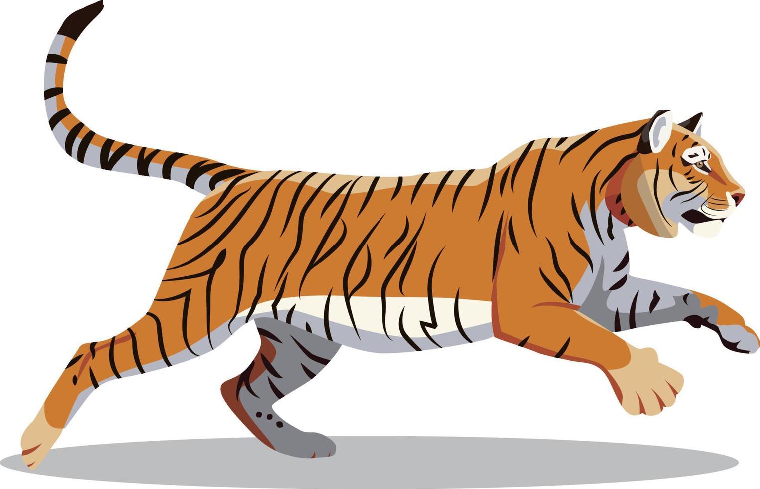 Tiger Running and Jumping vector