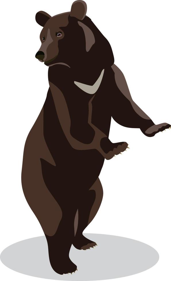 Bear Standing Upright vector