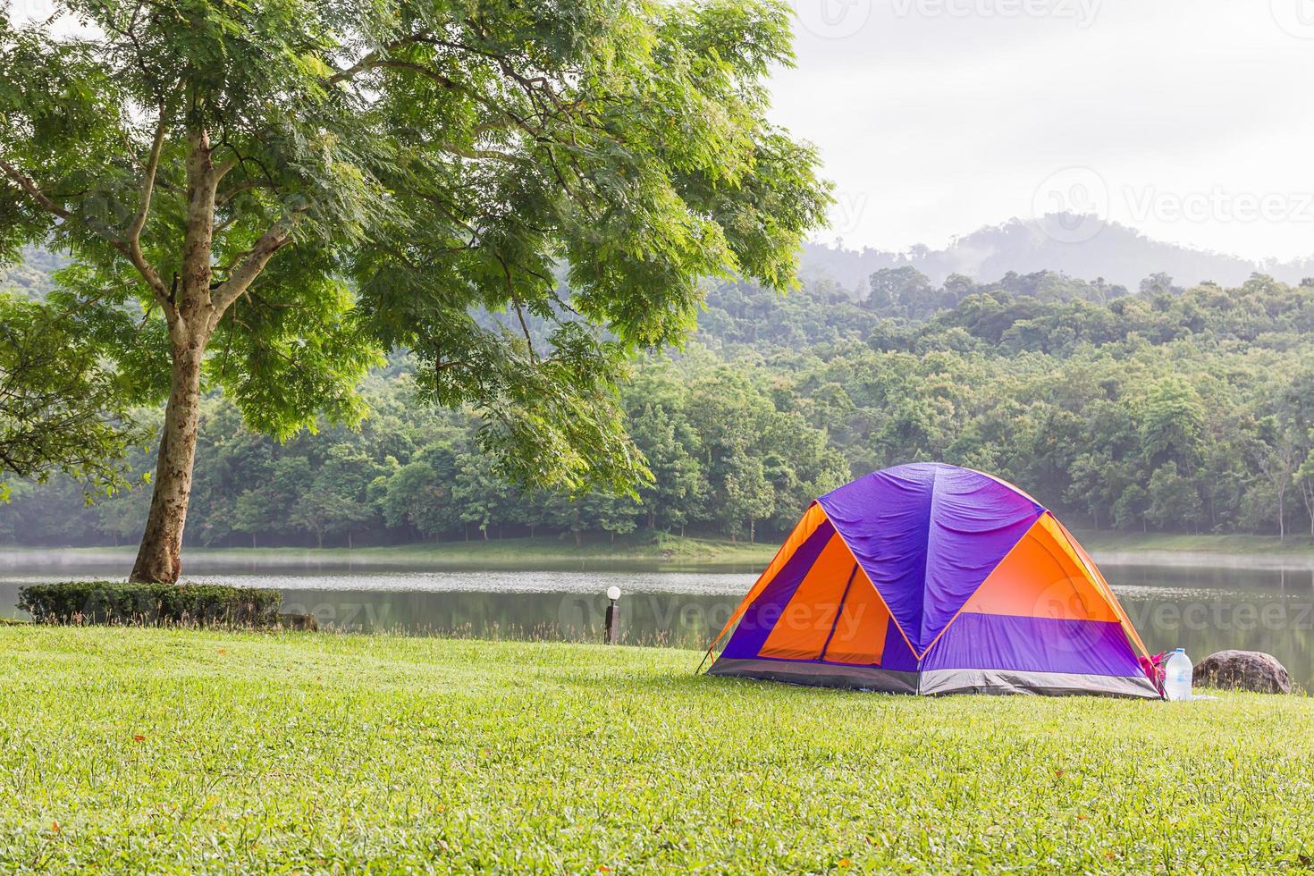 Dome tents camping in forest photo