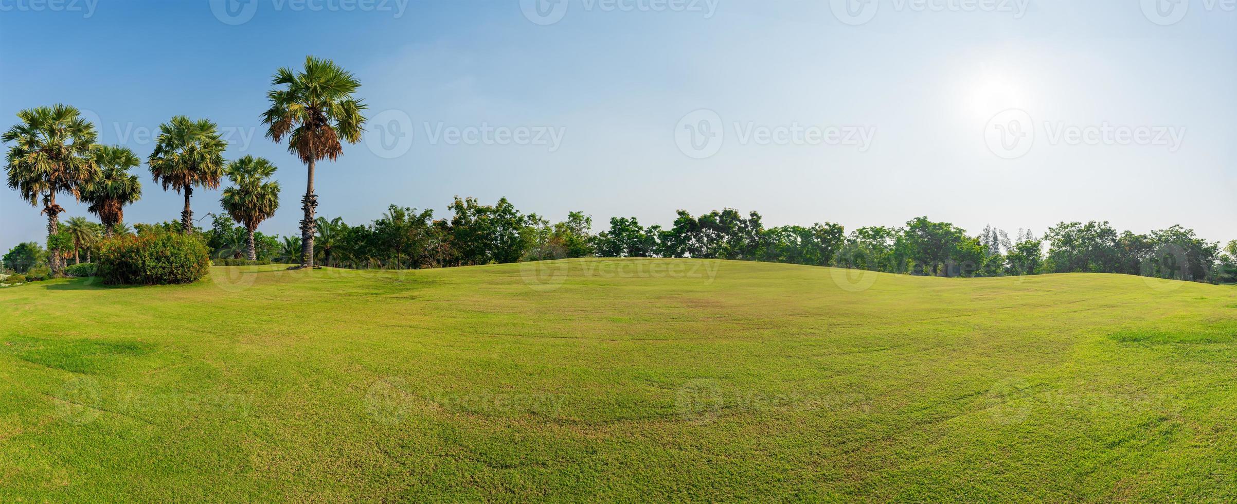 Panorama green grass on  golf field photo