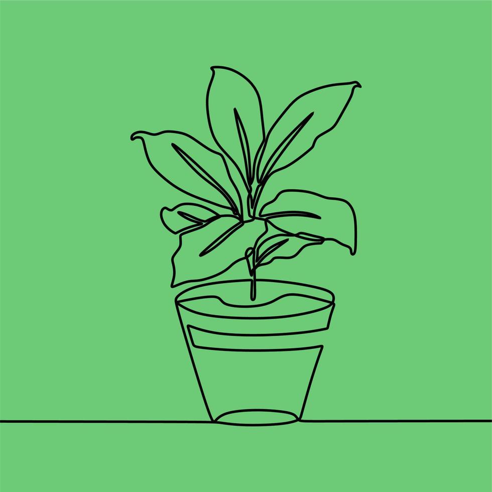continuous line drawing on plant vector
