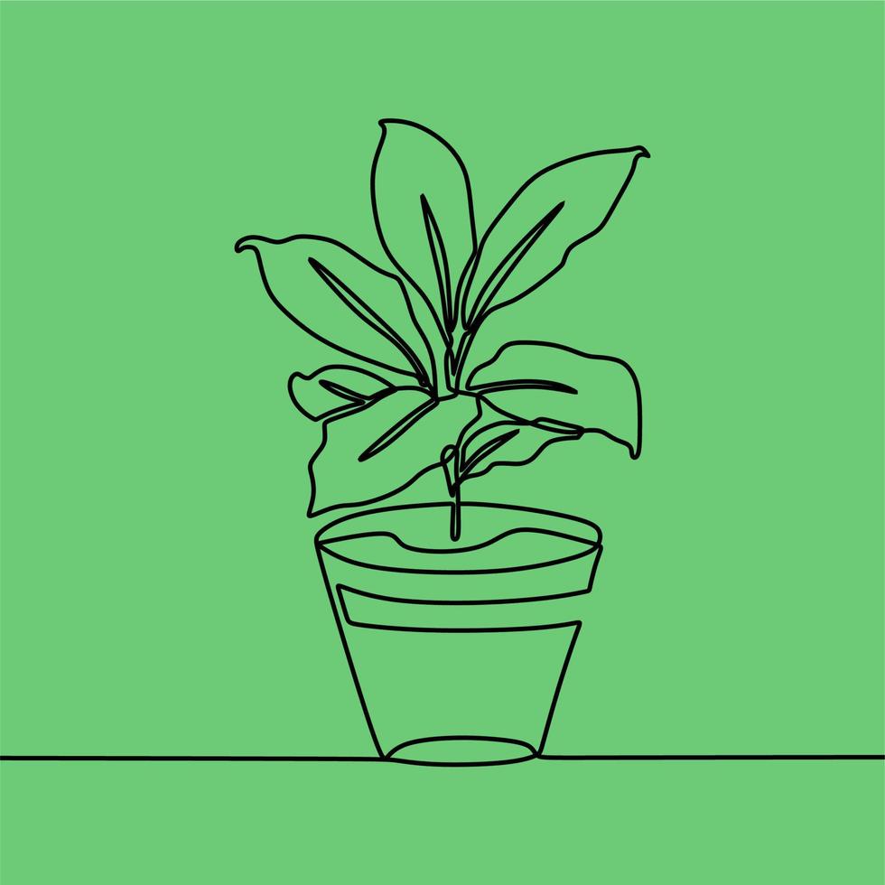 continuous line drawing on plant vector