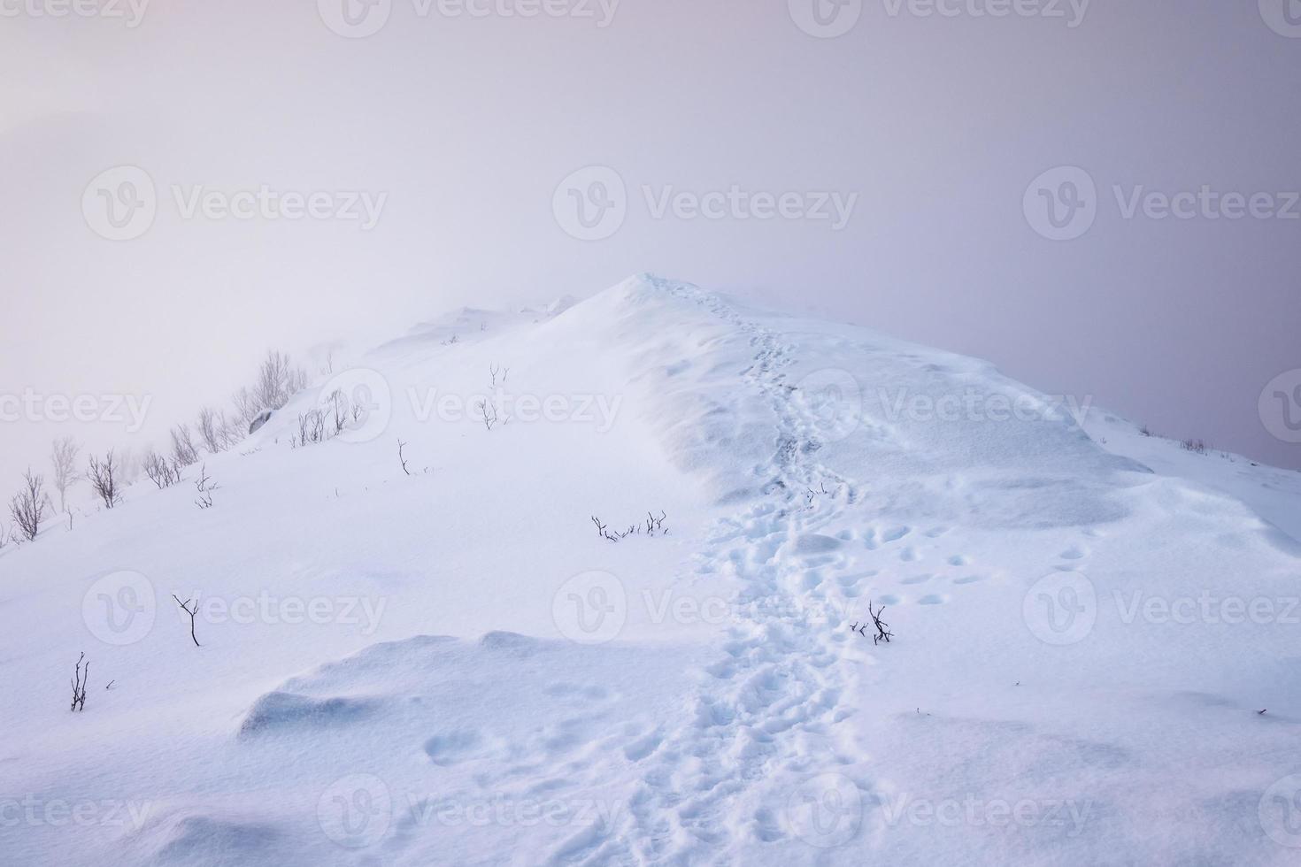 Snowy mountain peak with footprints photo