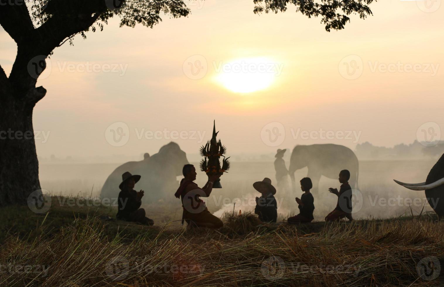 Silhouette mahout ride on elephant under the tree before Sunrise photo