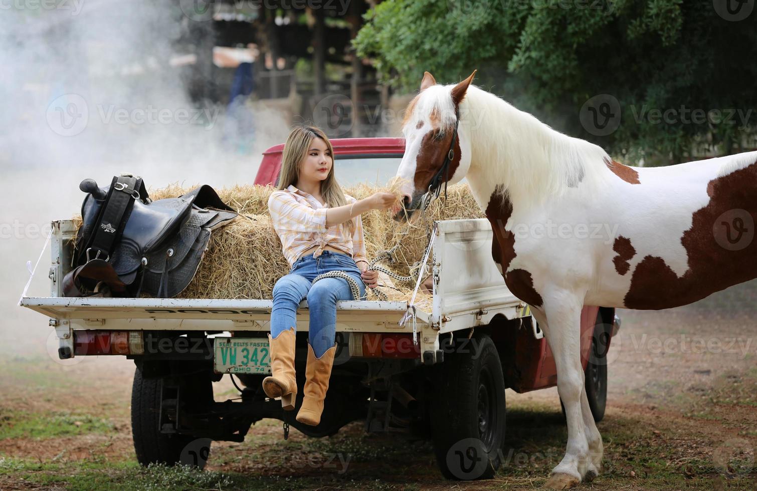 Young woman with her horse in evening sunset light. Outdoor photography with fashion model girl. Lifestyle mood photo