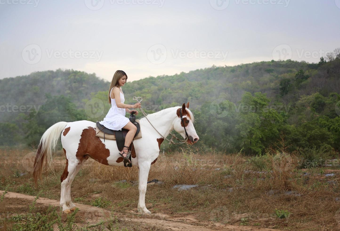 Young woman with her horse in evening sunset light. Outdoor photography with fashion model girl. Lifestyle mood photo