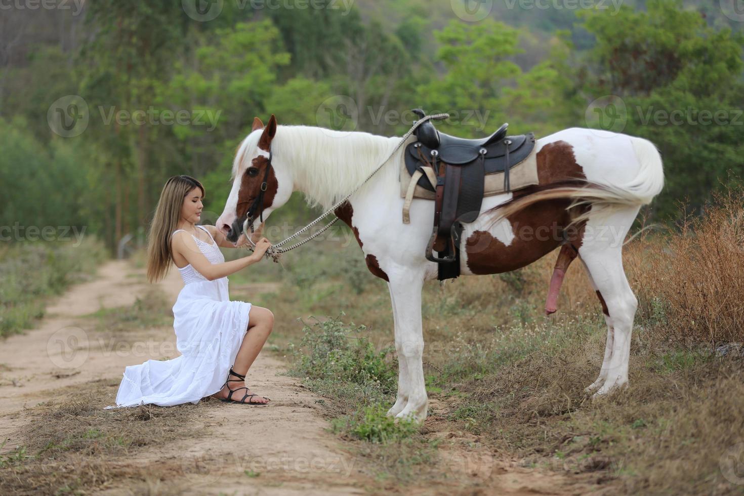 Young woman with her horse in evening sunset light. Outdoor photography with fashion model girl. Lifestyle mood photo